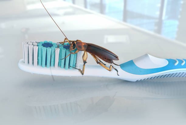 تفسير حلم الصراصير في الحمام في المنام