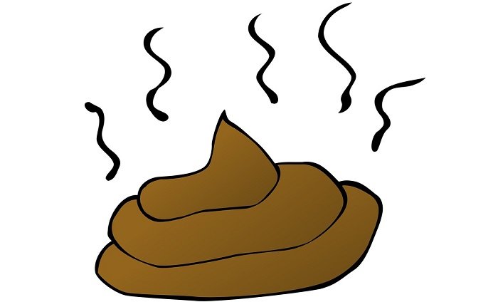 تفسير حلم المشي على البراز في المنام