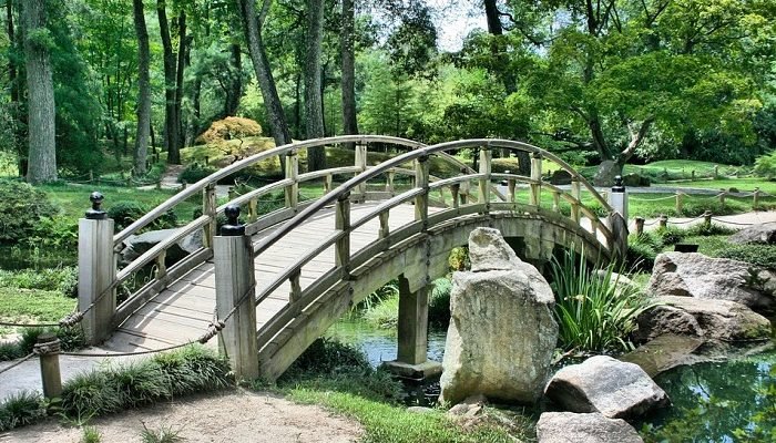 تفسير حلم المشي على جسر خشبي في المنام