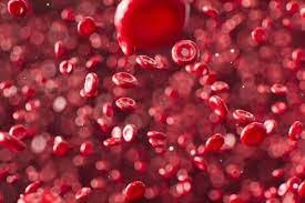 تفسير حلم خروج كيس دم من الرحم في المنام