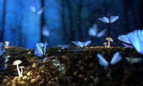 تفسير حلم فتح علبه تونه في المنام