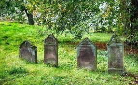 تفسير حلم زيارة قبر عمي في المنام