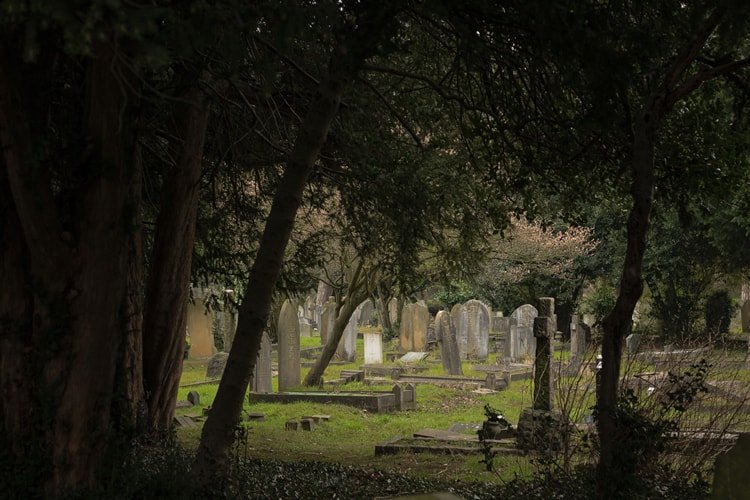 تفسير حلم رؤية قبر مهدوم في المنام