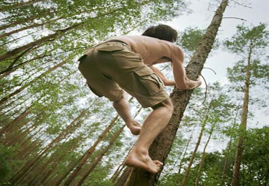 تفسير حلم التسلق على الشجرة في المنام