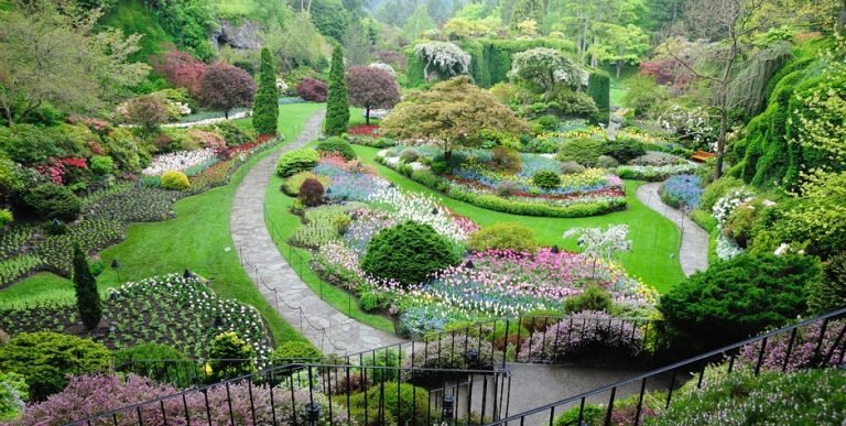 تفسير حلم اني في حديقة في المنام